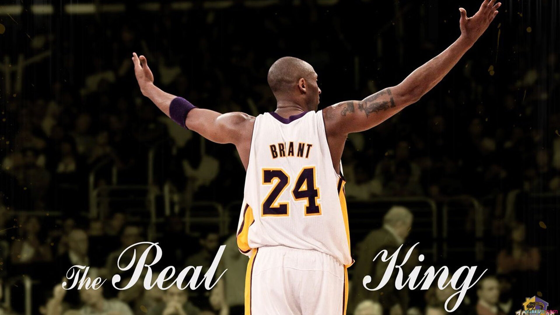 魔术新援状态回暖表现全面，最新魔术