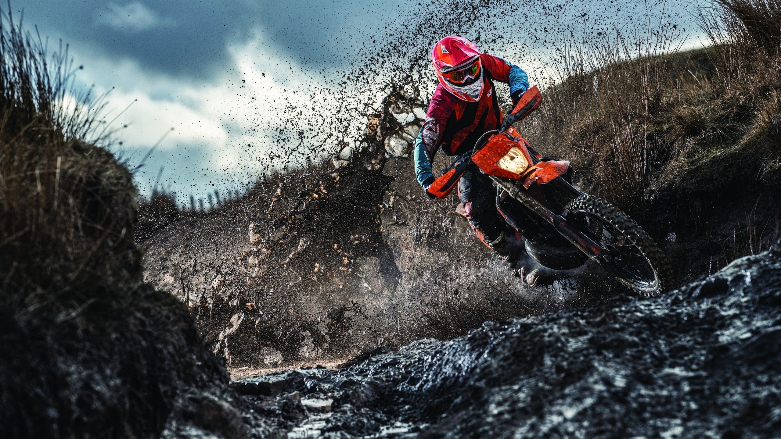 魔术新援状态回暖表现全面，最新魔术